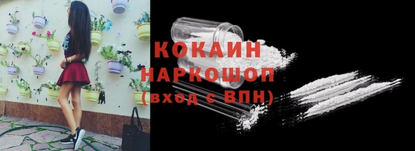 спиды Пестово