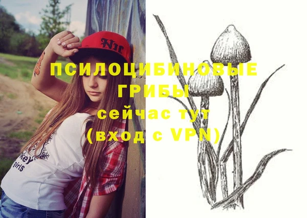 альфа пвп Переславль-Залесский
