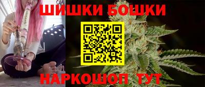 индика Гай