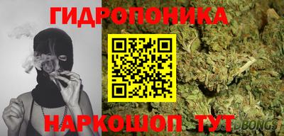 стаф Гагарин