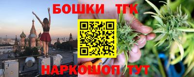 индика Гай