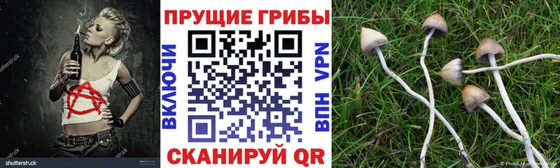 Галлюциногенные грибы прущие грибы  блэк спрут как зайти  Ярославль 