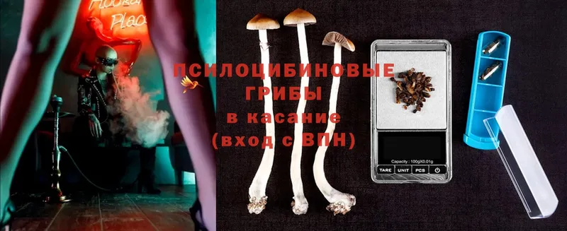 Псилоцибиновые грибы MAGIC MUSHROOMS  Ярославль 