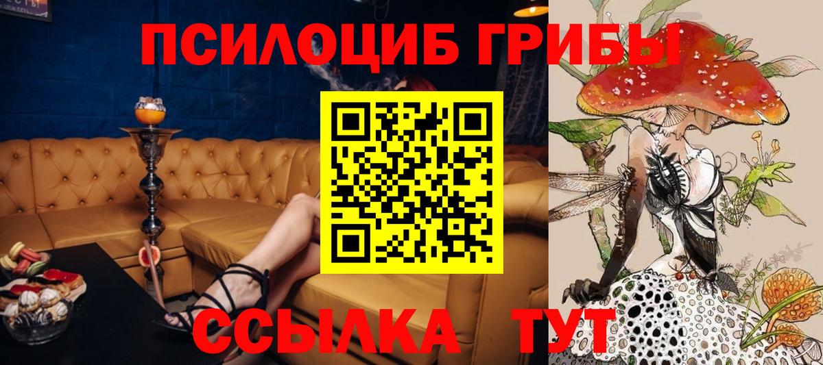 Ярославль  Галлюциногенные грибы прущие грибы  Вход с VPN 