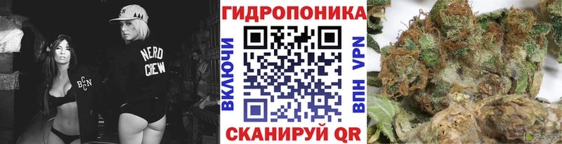 OMG сайт  купить наркотик  Ярославль  Марихуана OG Kush 